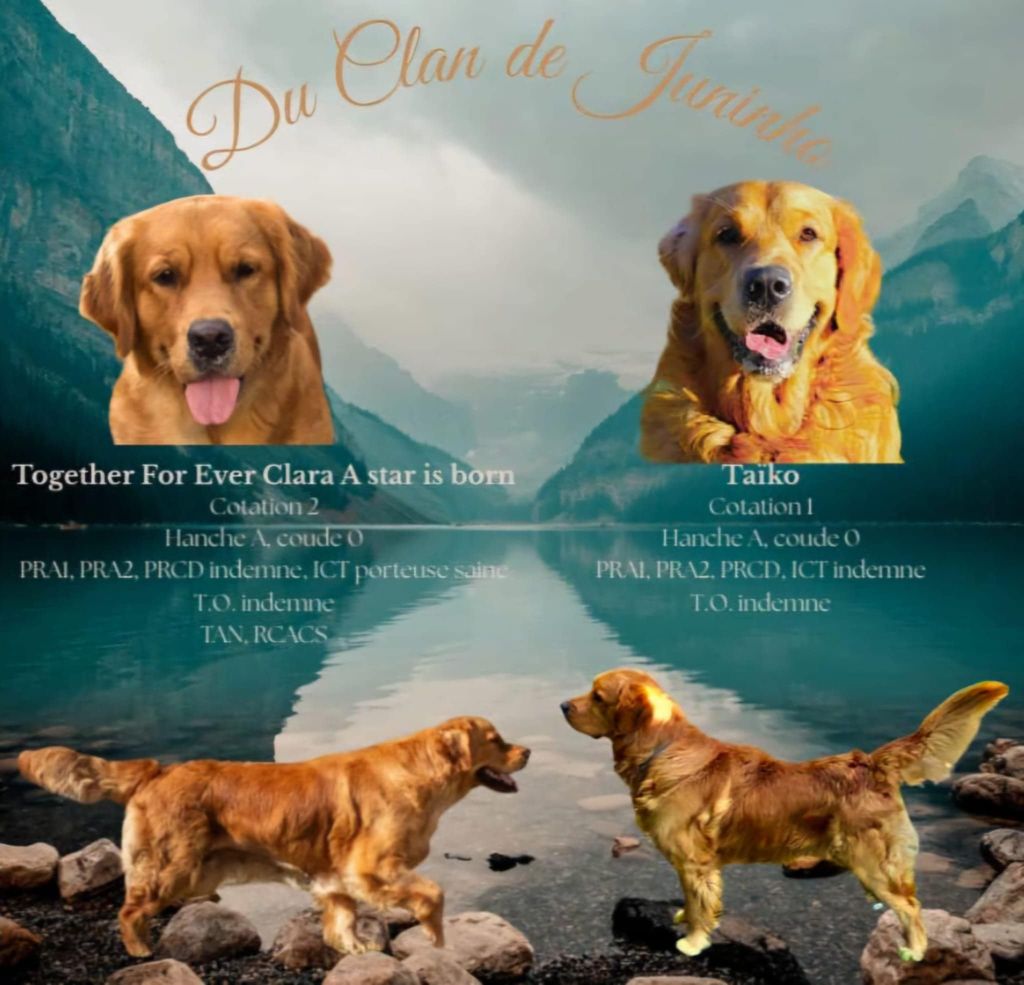 Des bébés attendus autour du 16 octobre